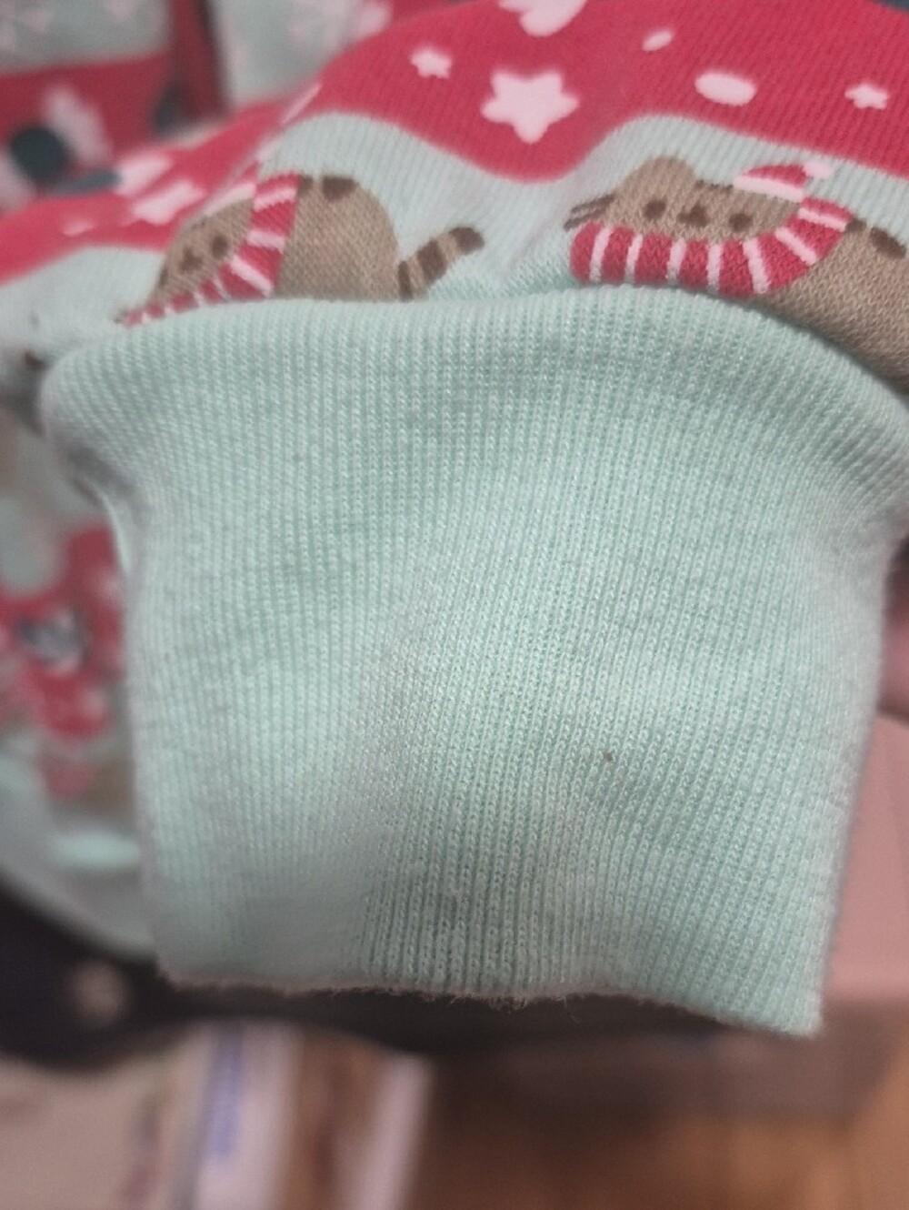 Pusheen Mint Green Graphic Sweatshirt - Picture 7 of 8